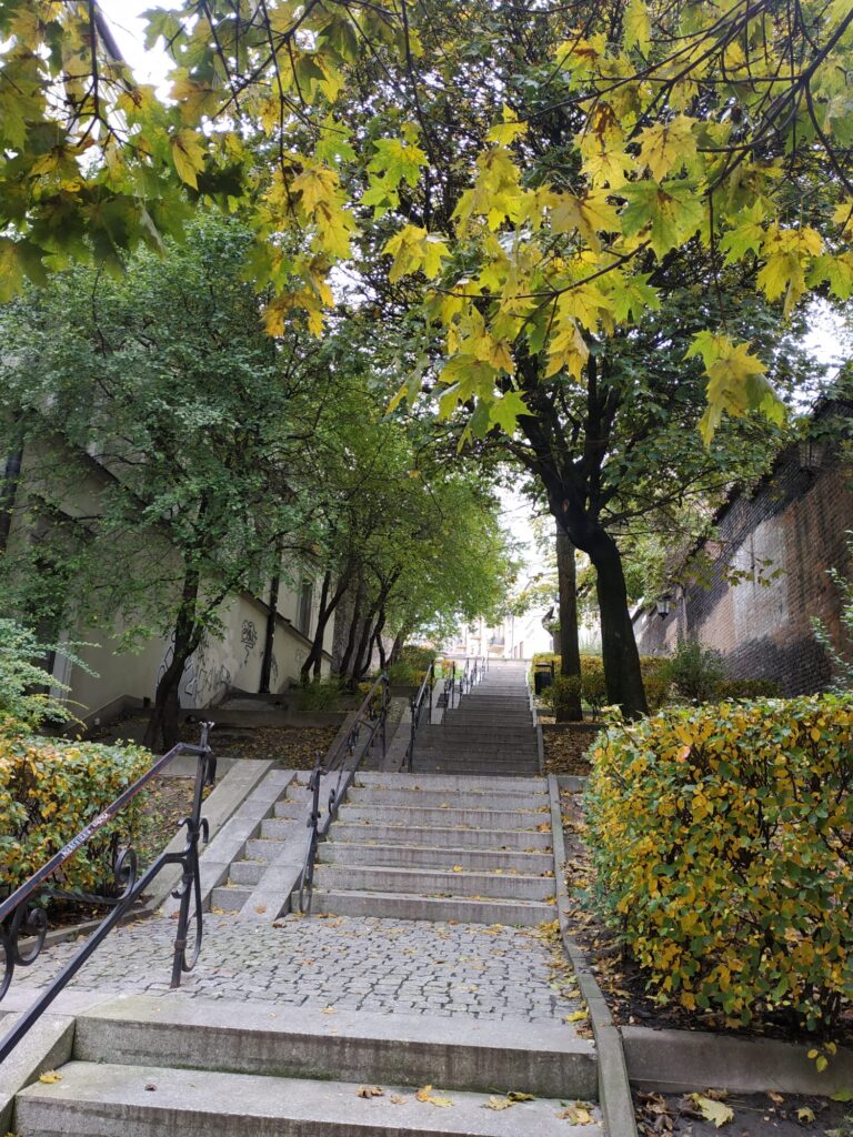 Schody w lubelskim Zaułku Hartwigów widziane od dołu