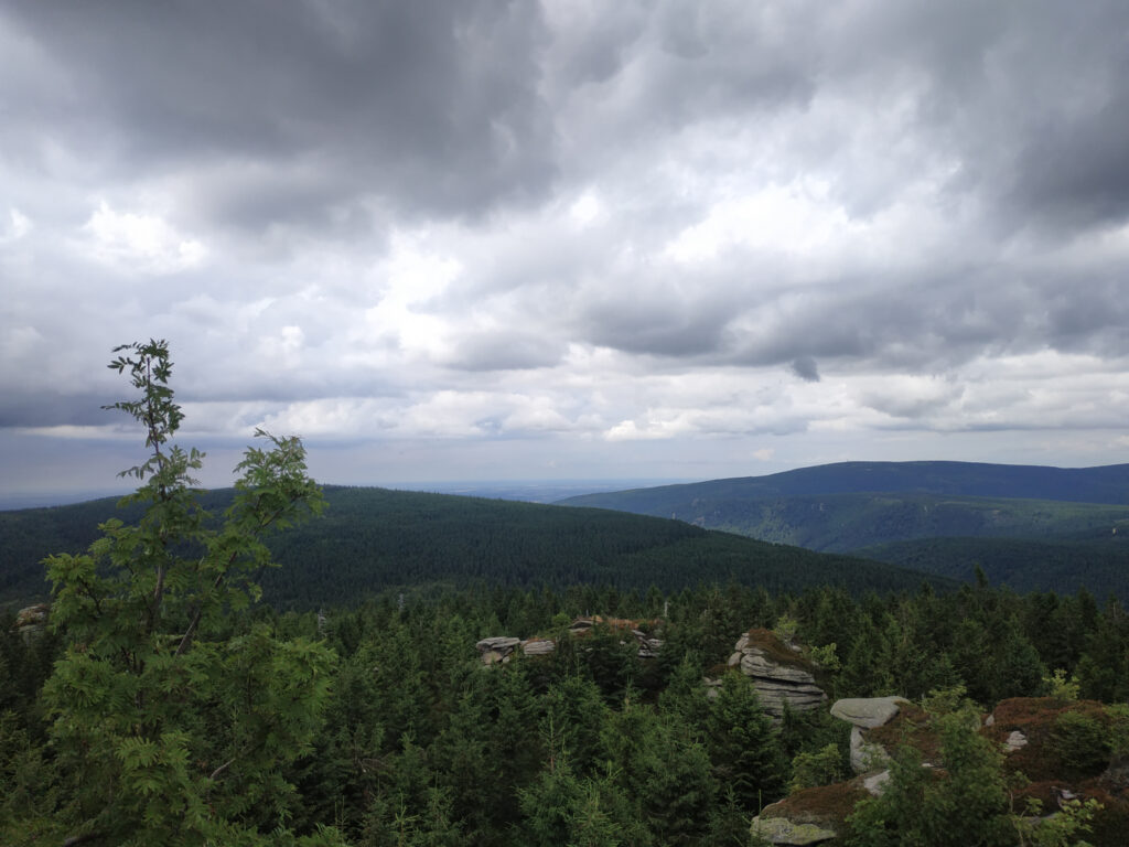Czechy, Góry Izerskie Widok na łagodne, pokryte lasem szczyty. na pierwszym planie kilka niedużych skał.