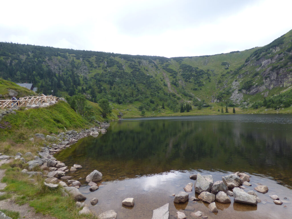Karkonosze. Jeden ze stawów w Karkonoszach. W tle zbocze pokryte trawą i kosodrzewiną.