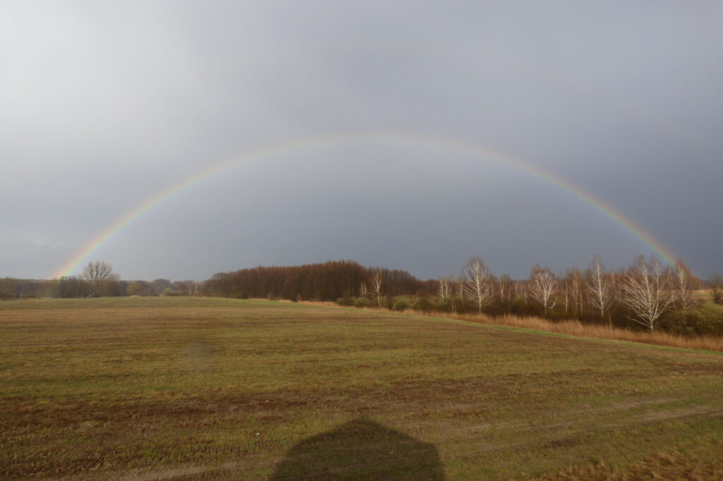 Tęcza nad lasem na horyzoncie, na pierwszym planie łąka i cień wieży