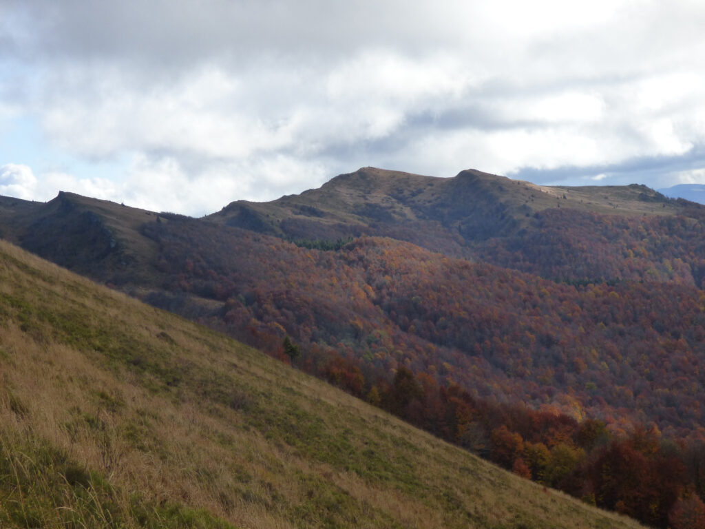 Bieszczady Panorama gór Bieszczady. Na pierwszym planie łąka czyli połonina